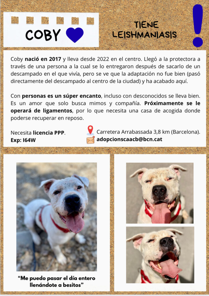 Acollida_6